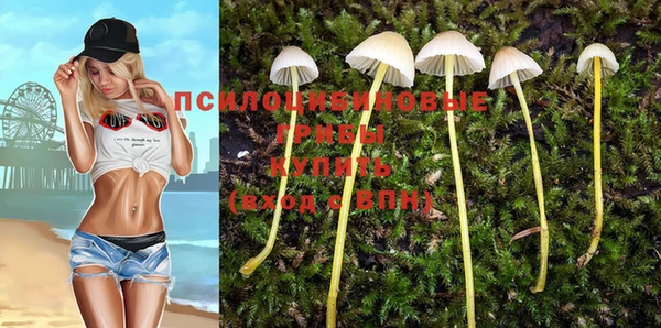 ГАЛЛЮЦИНОГЕННЫЕ ГРИБЫ Кукмор